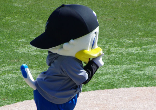 IMGP4908_20140322230136c18.jpg