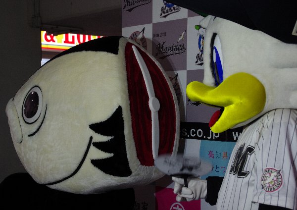 IMGP0620.jpg