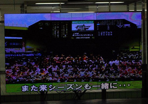IMGP7173.jpg