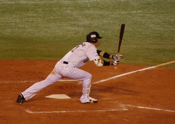 IMGP3162_2013091923585419a.jpg