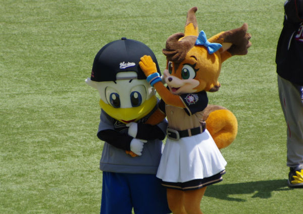 IMGP8245
