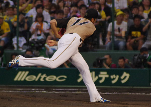 IMGP6010.jpg