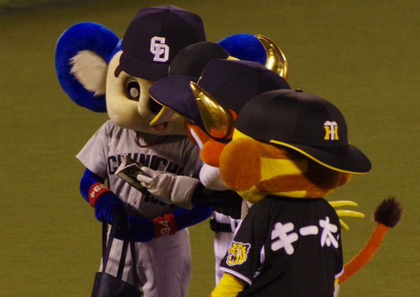 IMGP4778_201408171921258af.jpg