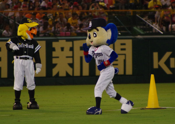 IMGP7241.jpg