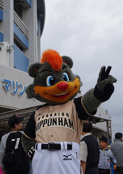 IMGP9230.jpg