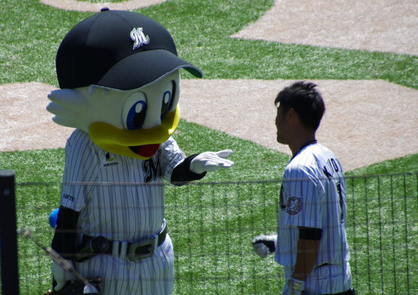 IMGP4606_20140322225653585.jpg