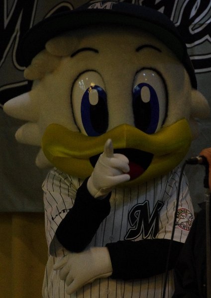IMGP1741_201312240002169cf.jpg