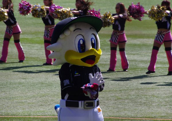IMGP6830_2013102322455732e.jpg