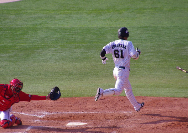 IMGP6823_20140323221342513.jpg