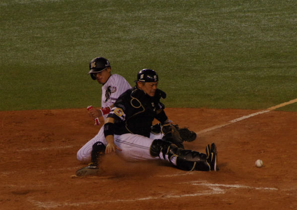 IMGP3146_2014081322564019a.jpg