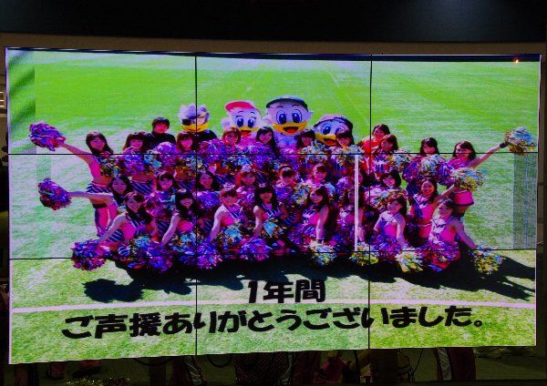 IMGP4215.jpg
