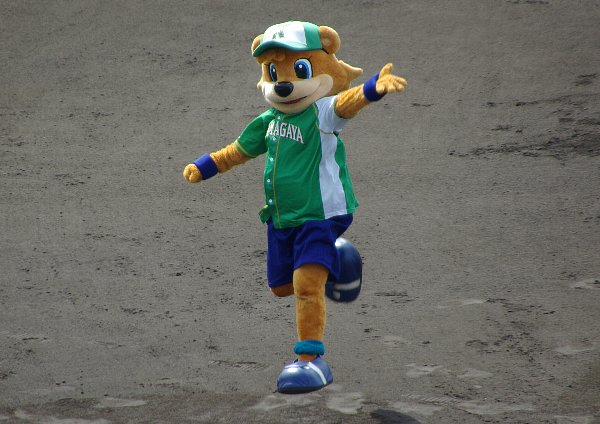 IMGP6629.jpg