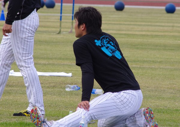 IMGP5312.jpg