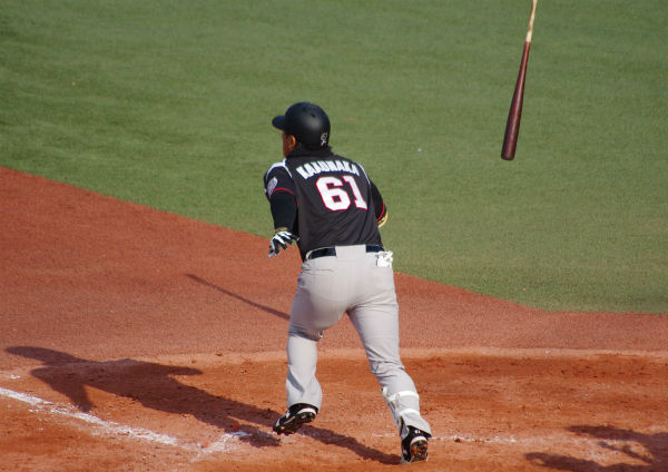 IMGP9378_20140329231601603.jpg