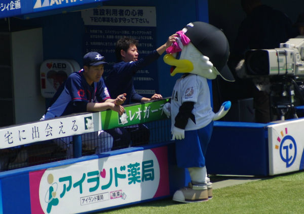 IMGP3982