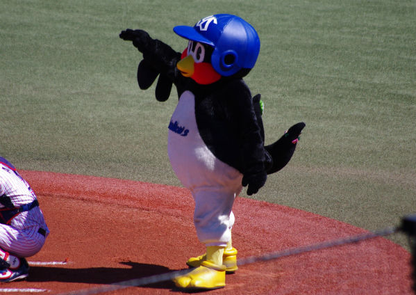 IMGP7864.jpg