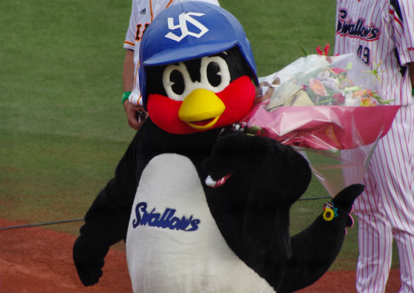 IMGP4027_20140817102143332.jpg