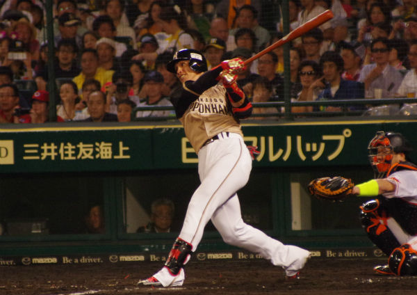 IMGP6697_20140825225959099.jpg