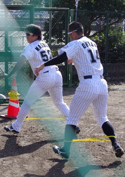 IMGP5130.jpg