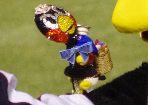 IMGP8120.jpg