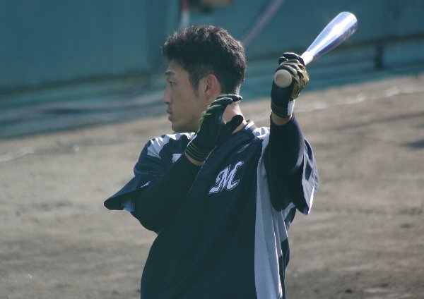 IMGP4573_20121115115709.jpg