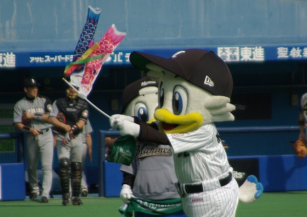 IMGP4457.jpg
