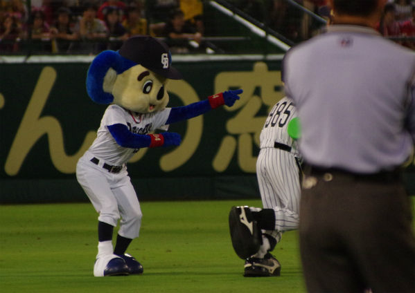 IMGP7265_20140828215651039.jpg
