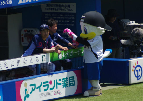 IMGP3978