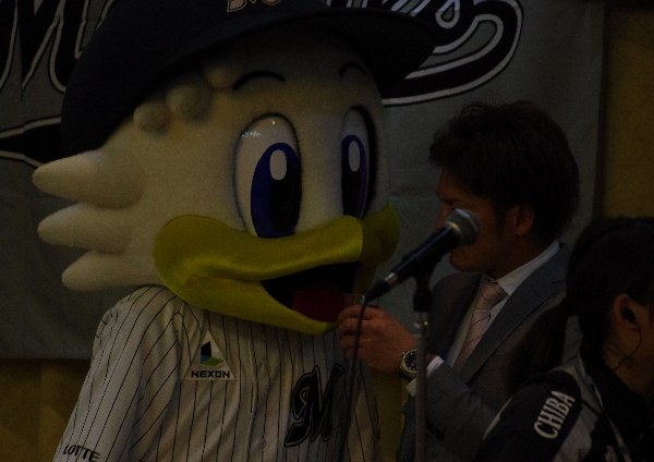 IMGP1732_201312240002148b2.jpg