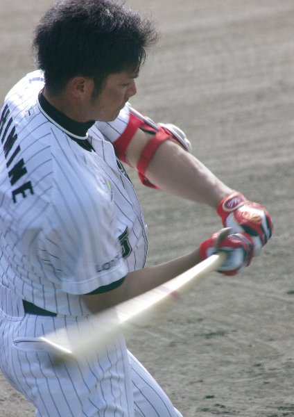 IMGP5228_20121115223839.jpg