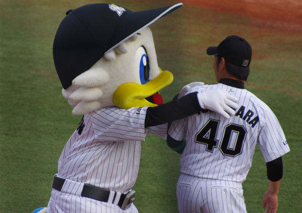 IMGP3898_201408171020077bc.jpg