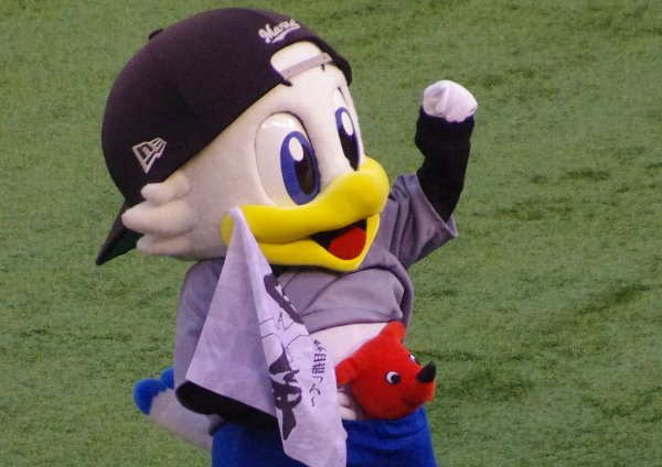 IMGP1714.jpg