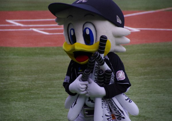 IMGP8897.jpg