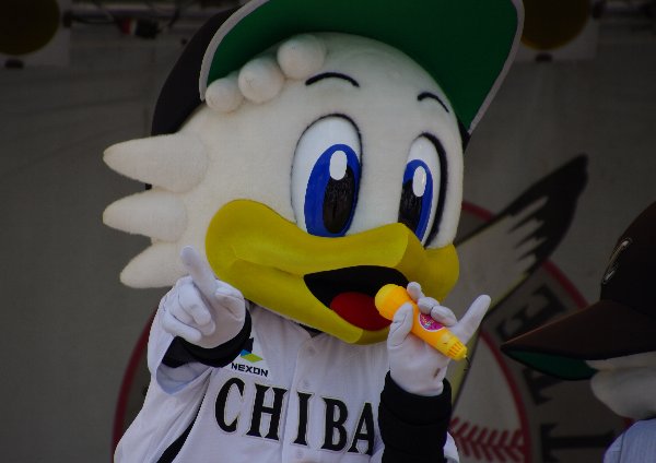 IMGP4348.jpg