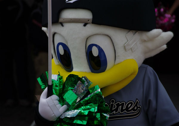 IMGP2569_20140320225343cd5.jpg