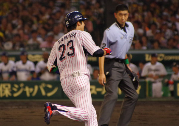 IMGP6290_20140825225828317.jpg