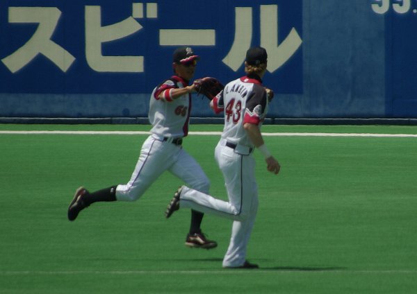 IMGP3518.jpg