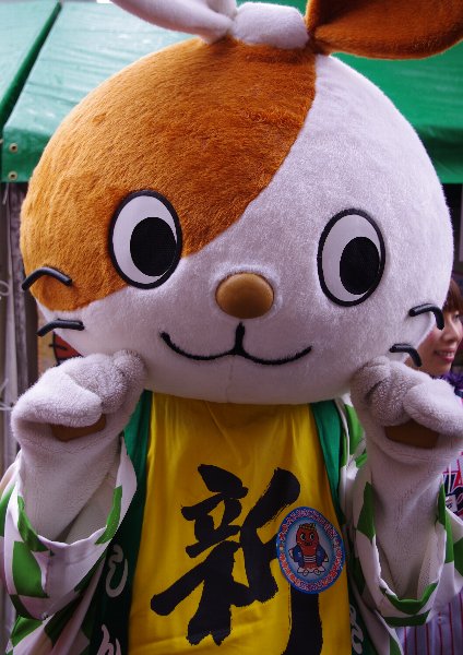 IMGP6800.jpg