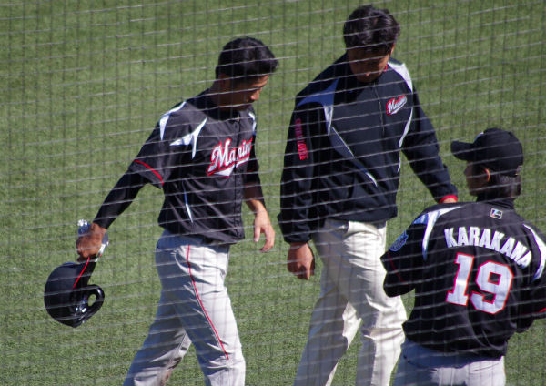 IMGP8060_201403262331114df.jpg