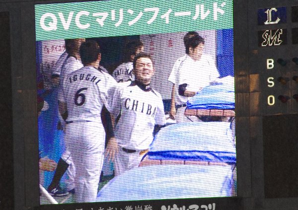 IMGP8268_2013091514505708d.jpg
