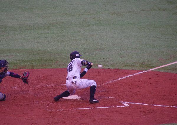 IMGP1501.jpg