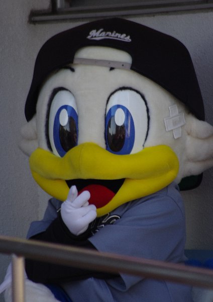 IMGP3535.jpg