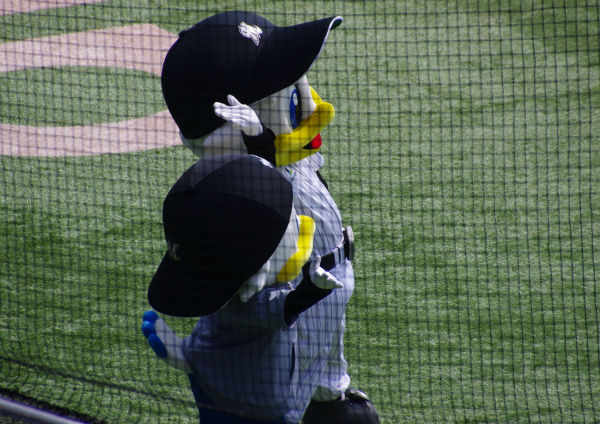 IMGP2841.jpg