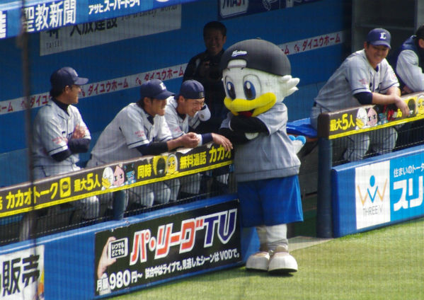 IMGP2806