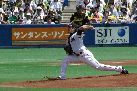 IMGP2653.jpg