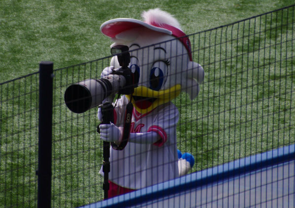 IMGP2762_20140321135830ac2.jpg