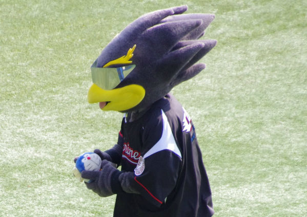 IMGP3168_201403211400451c2.jpg