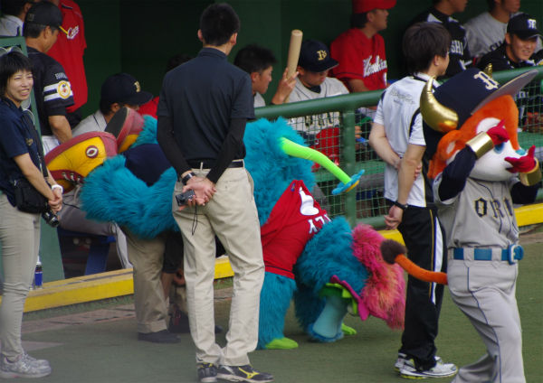 IMGP3718_201408171014390a2.jpg