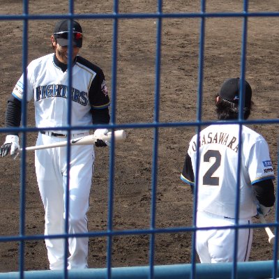 DSCF2493.jpg