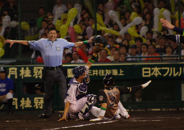 IMGP7151_201408252300348be.jpg
